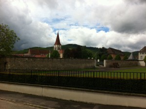 IMG_1949 The view outside of my house in Ammerschwihr