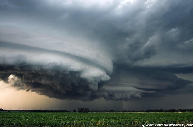 Photo by Mike Hollingshead