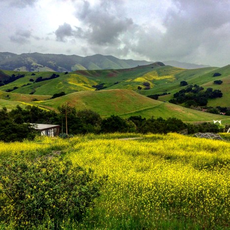 I'd rather be decomposing beneath this beautiful landscape than starting a graduate program right now.