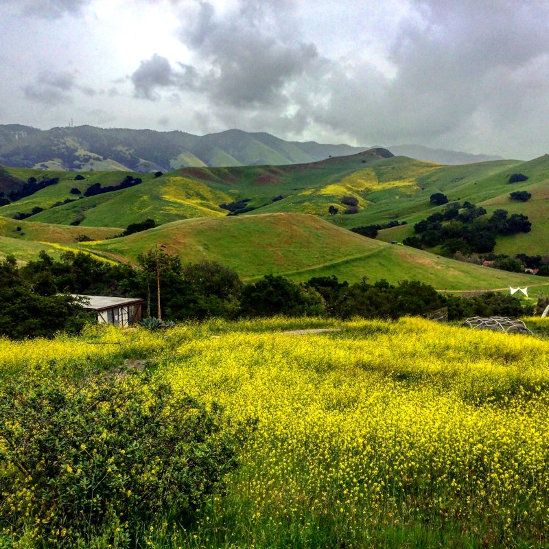 I'd rather be decomposing beneath this beautiful landscape than starting a graduate program right now.