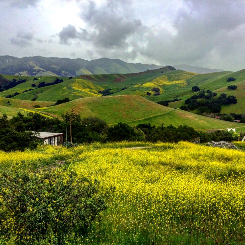 April 23 Import 1446