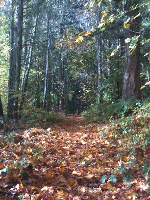 Wouldn't it be better to be as peaceful as this image instead of slaving away in a world where you can never get ahead?